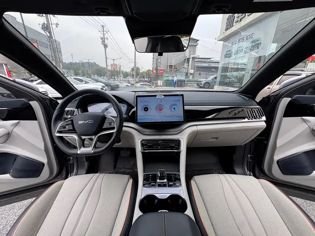 BYD PLUS New Energy — фото 7