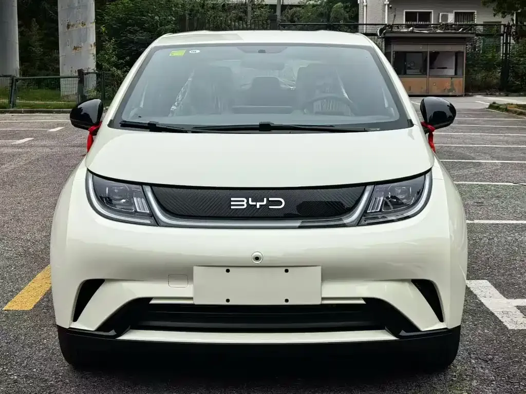 BYD Dolphin 2025 из CN, фото 2