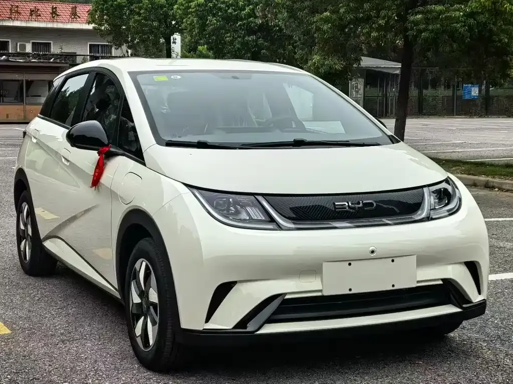 BYD Dolphin 2025 из CN, фото 3