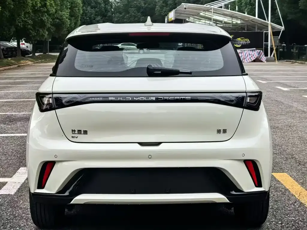 BYD Dolphin 2025 из CN, фото 8