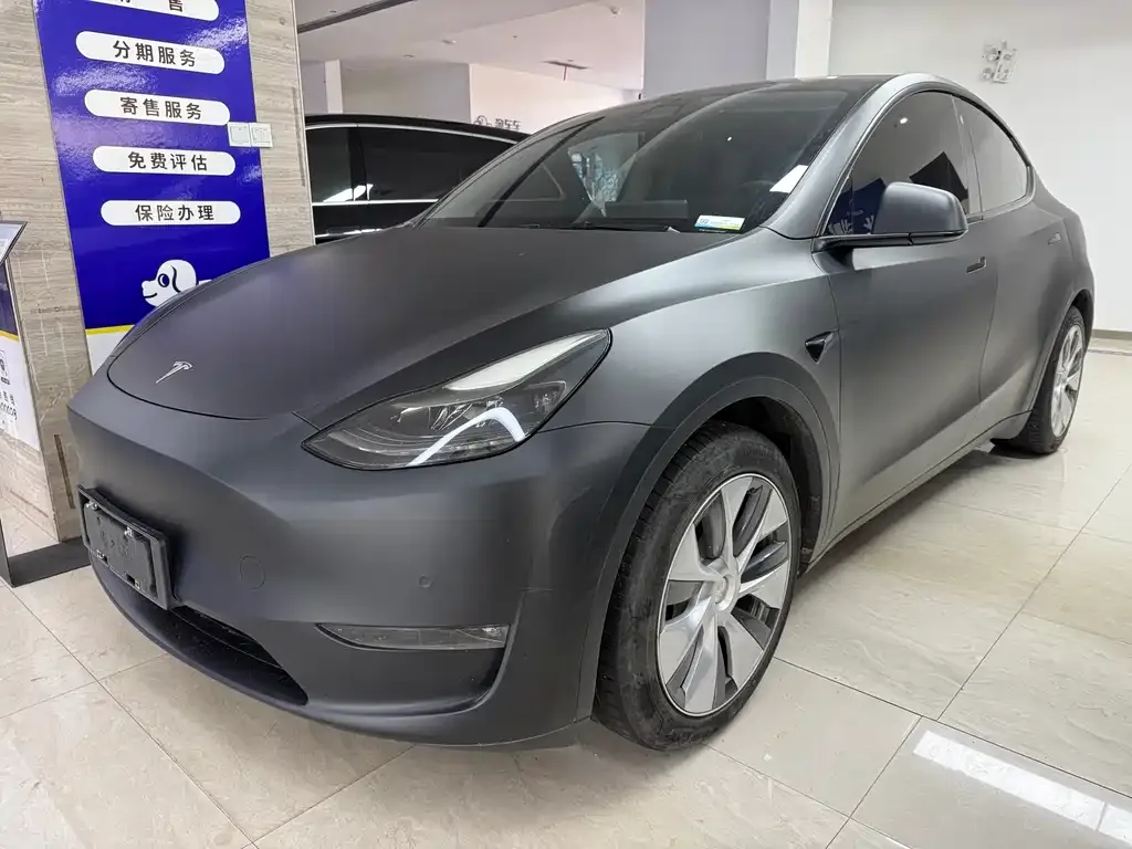 Tesla Model Y 2021 из CN, фото 1