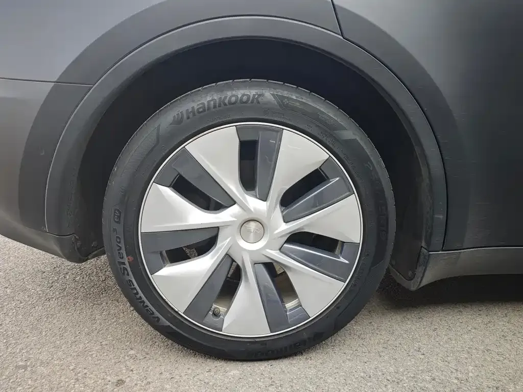Tesla Model Y 2021 из CN, фото 5