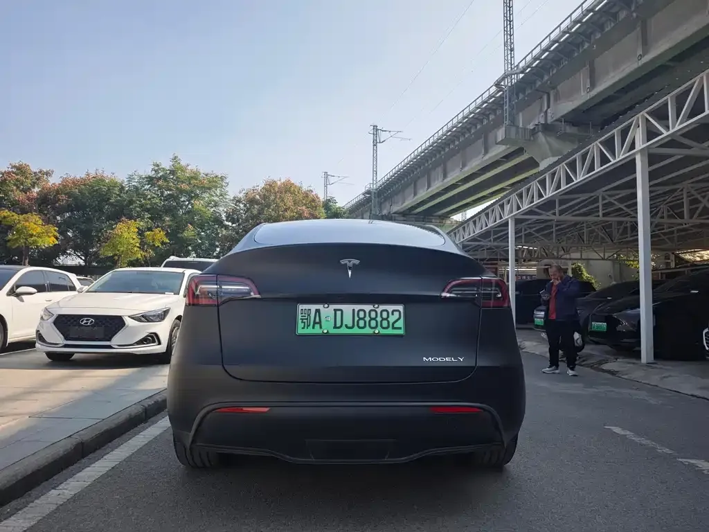 Tesla Model Y 2021 из CN, фото 7