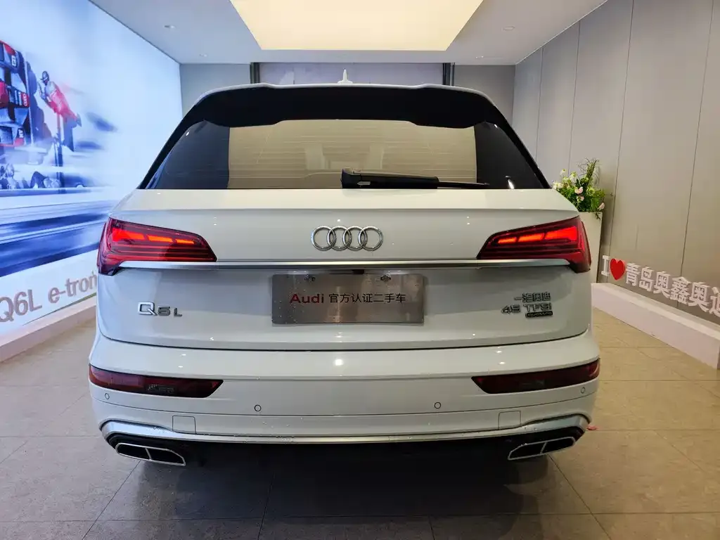 Audi Q5L 2023 из CN, фото 4