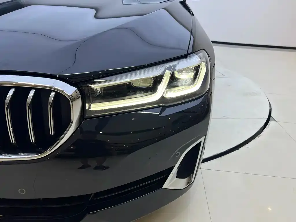 BMW 5 Series New Energy 2021 из CN, фото 8