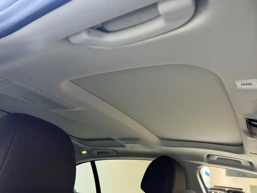 BMW 5 Series New Energy 2021 из CN, фото 9