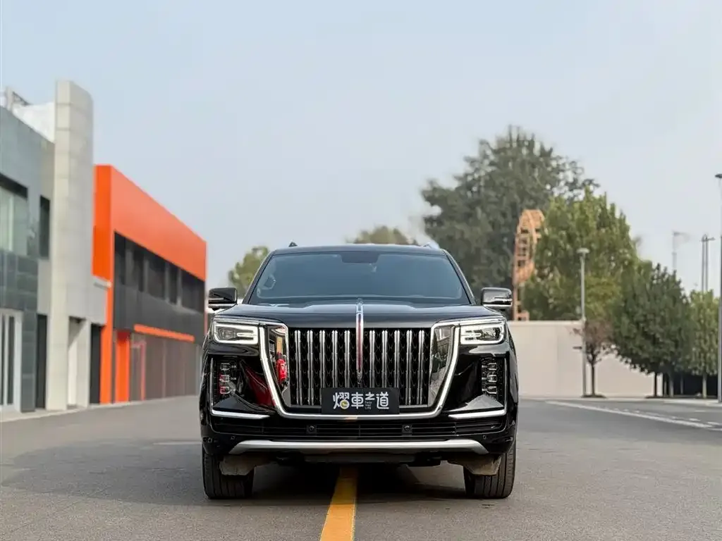Hongqi Golden Sunflower Guoyao 2023 из CN, фото 2