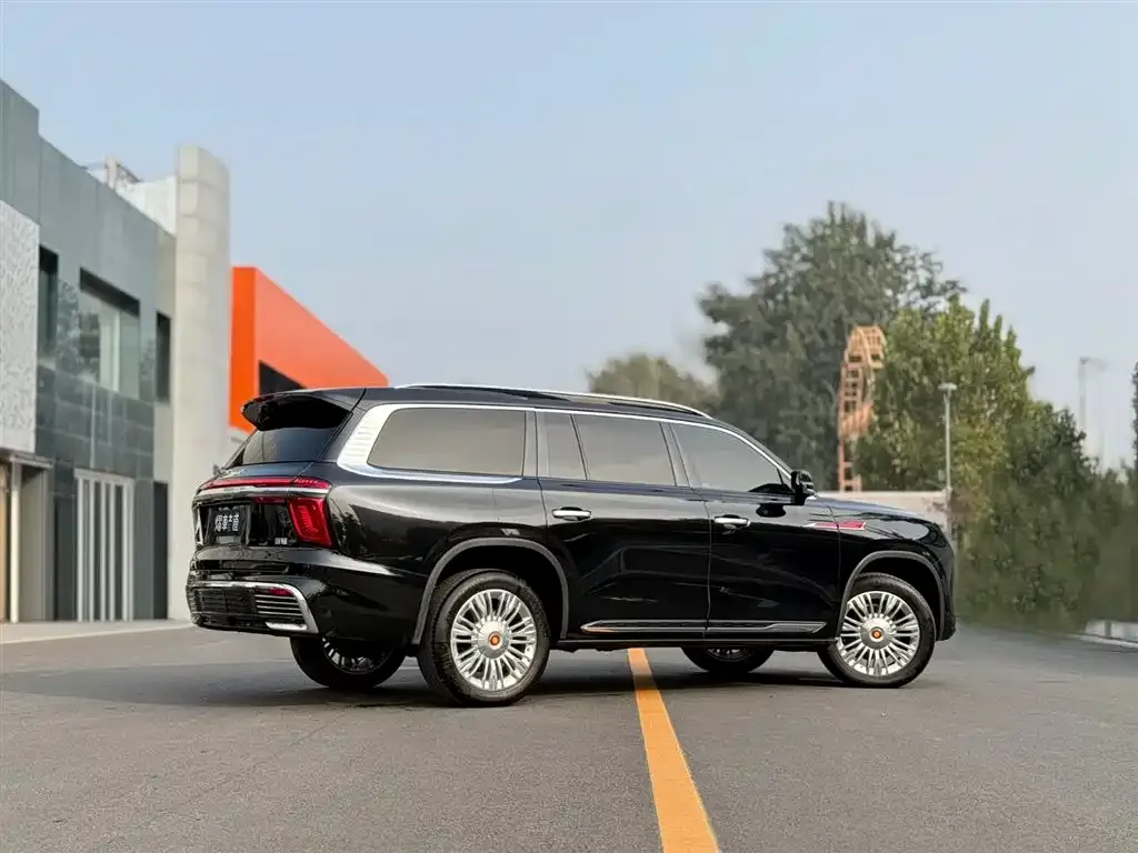 Hongqi Golden Sunflower Guoyao 2023 из CN, фото 3