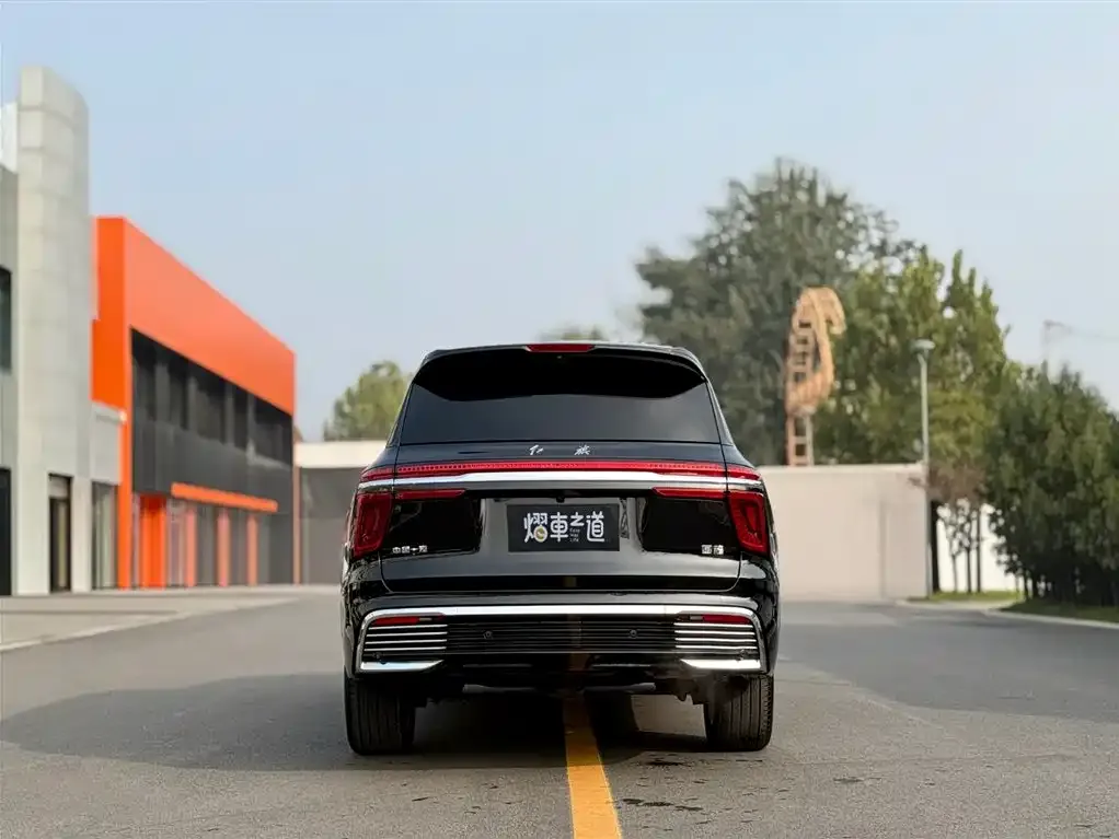 Hongqi Golden Sunflower Guoyao 2023 из CN, фото 4