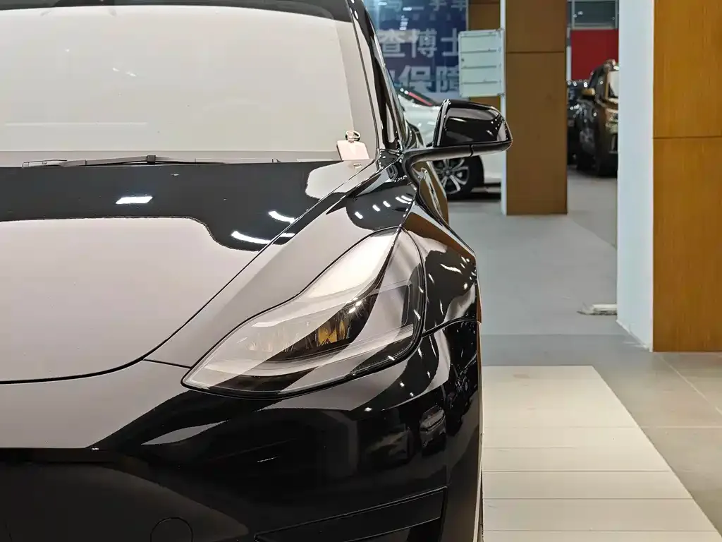 Tesla Model 3 2021 из CN, фото 2