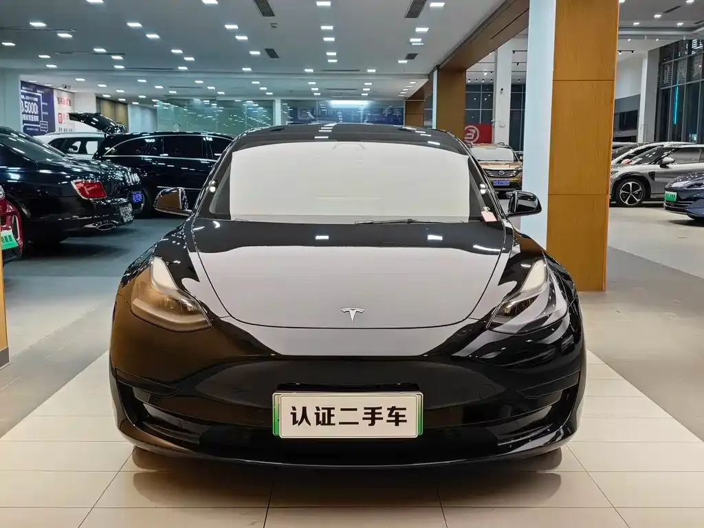 Tesla Model 3 2021 из CN, фото 3