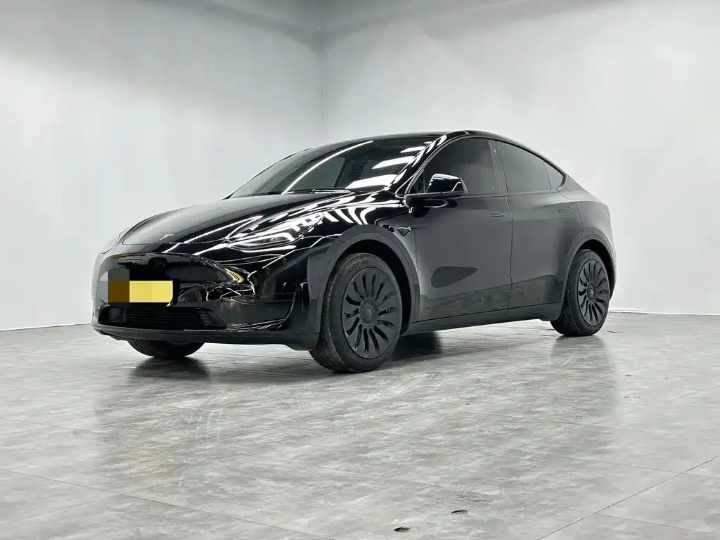 Tesla Model Y 2023 из CN, фото 1
