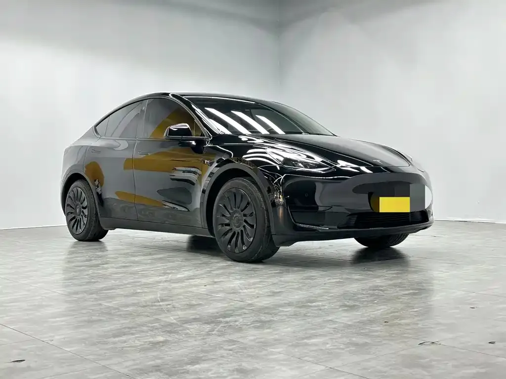 Tesla Model Y 2023 из CN, фото 2