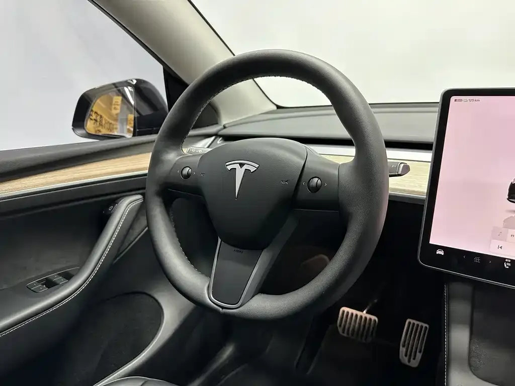 Tesla Model Y 2023 из CN, фото 9