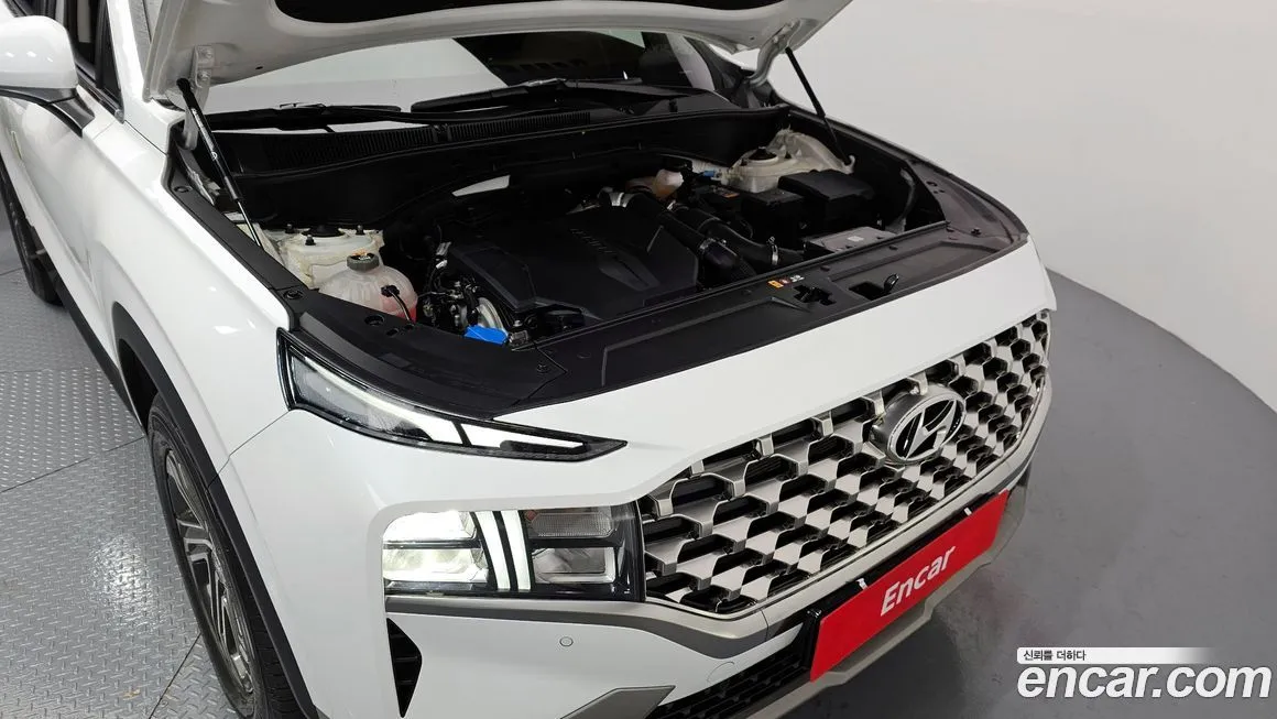 Hyundai Santafe 2021 из KR, фото 6
