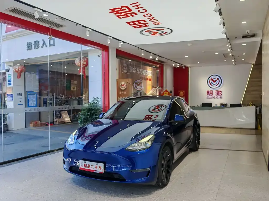 Tesla Model Y 2021 из CN, фото 1