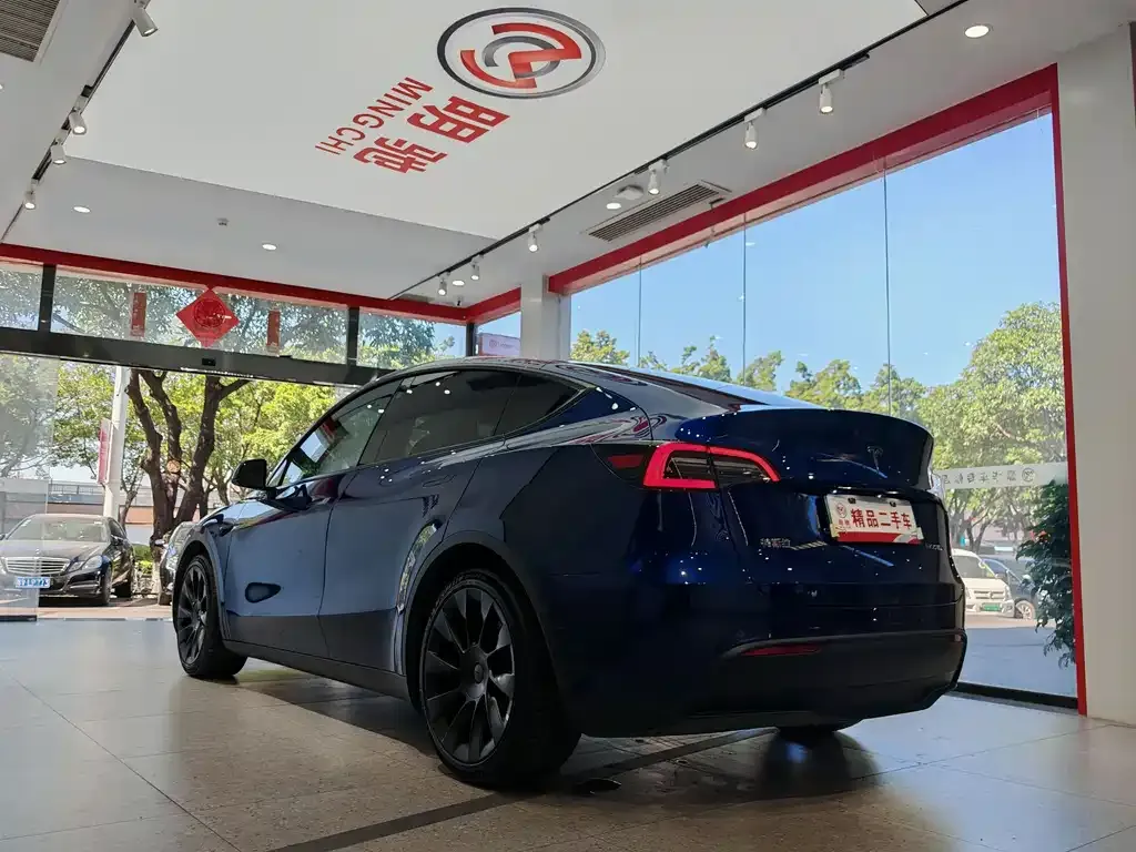 Tesla Model Y 2021 из CN, фото 10