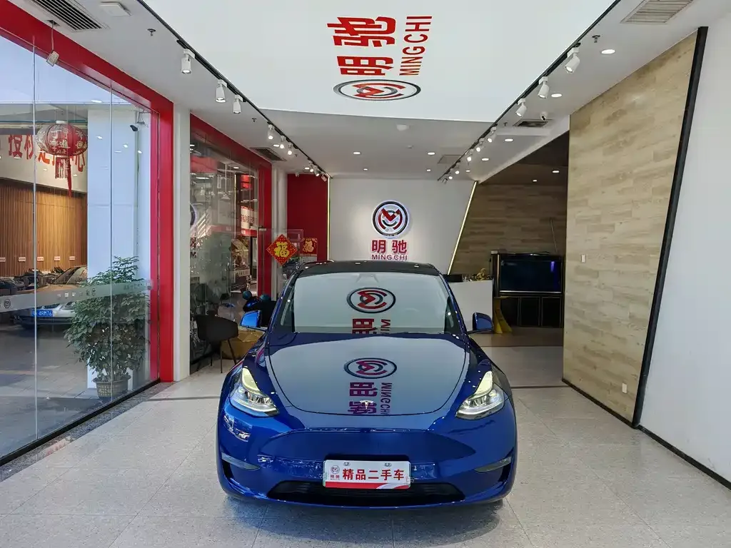 Tesla Model Y 2021 из CN, фото 2