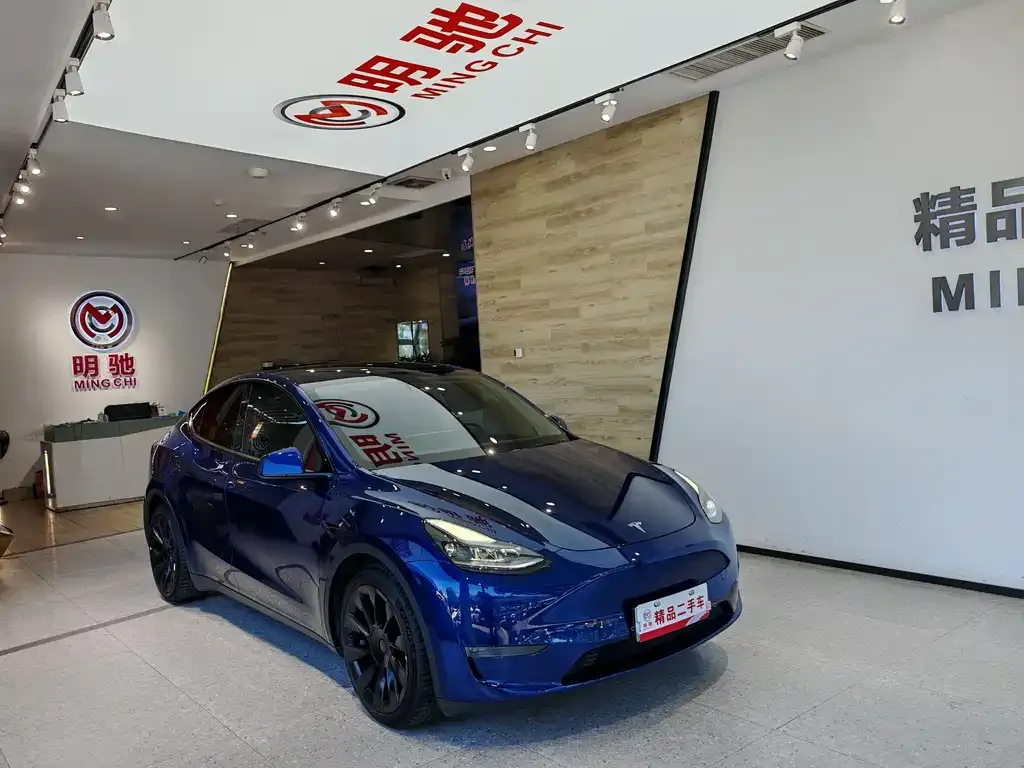 Tesla Model Y 2021 из CN, фото 3
