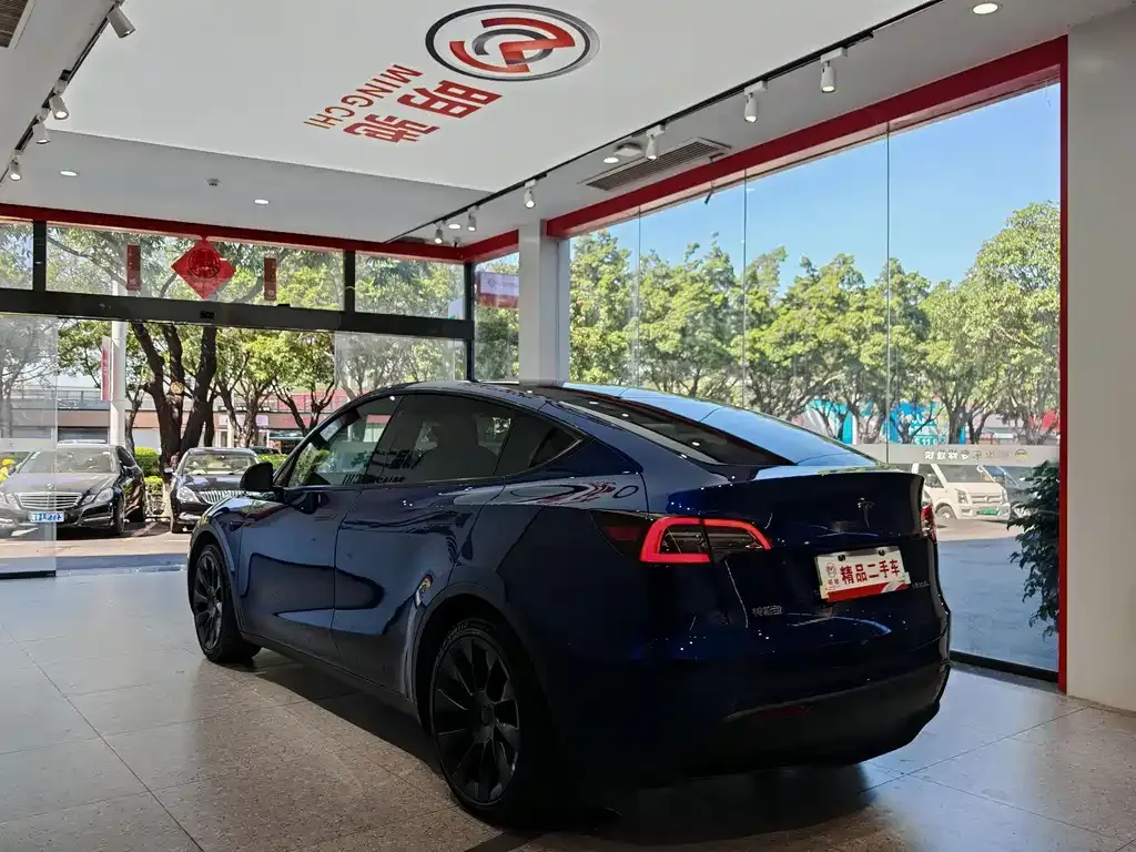 Tesla Model Y 2021 из CN, фото 4