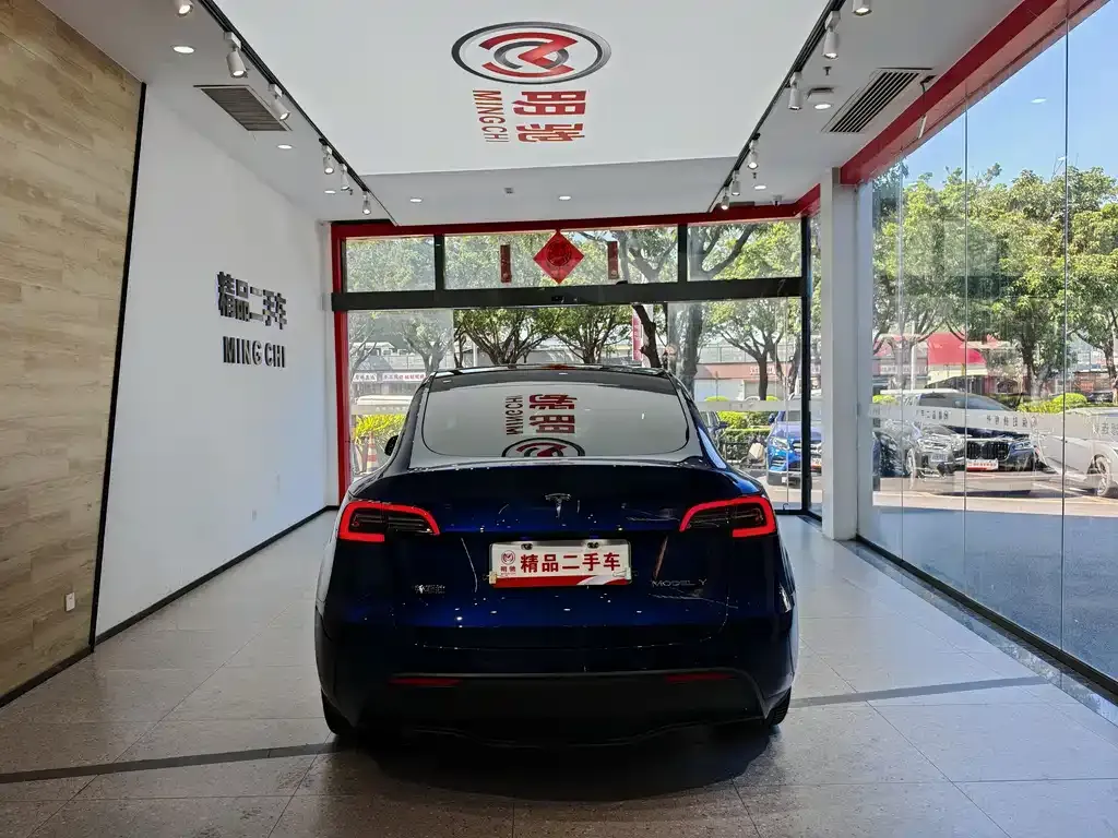 Tesla Model Y 2021 из CN, фото 5