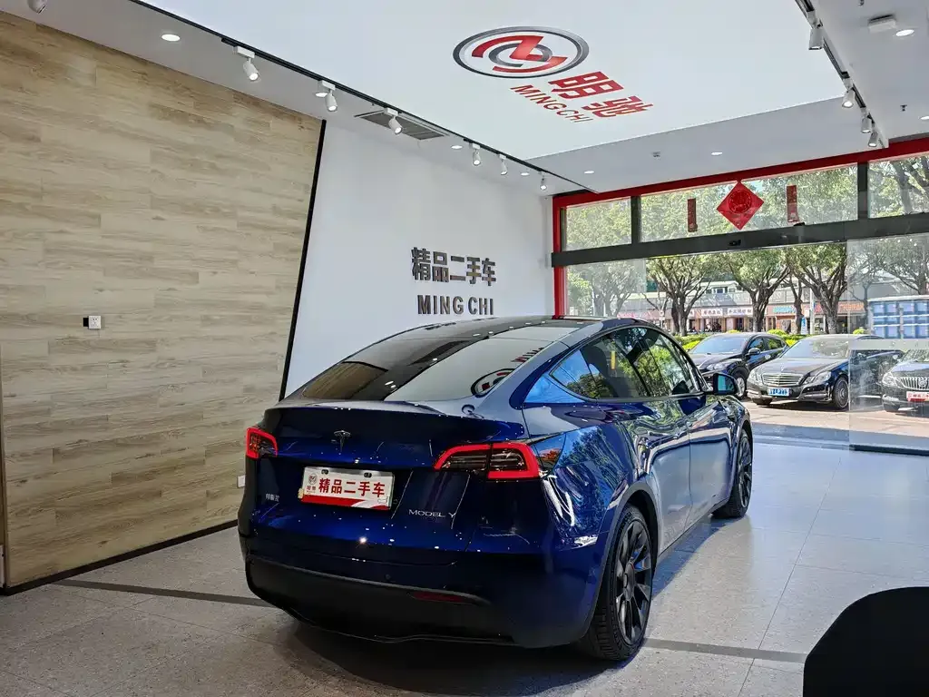Tesla Model Y 2021 из CN, фото 6