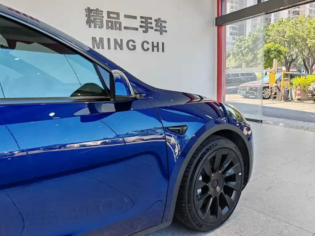 Tesla Model Y 2021 из CN, фото 7