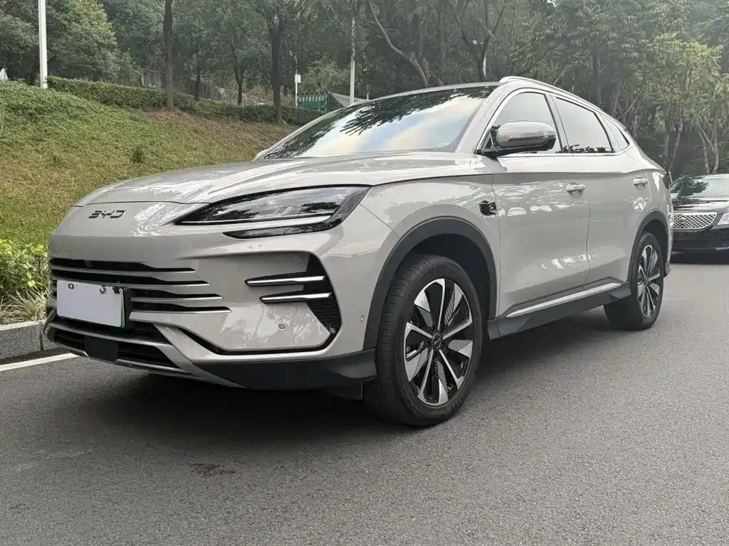 BYD PLUS New Energy 2025 из CN, фото 1