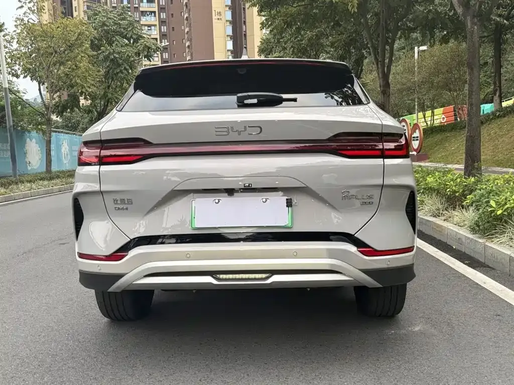 BYD PLUS New Energy 2025 из CN, фото 4