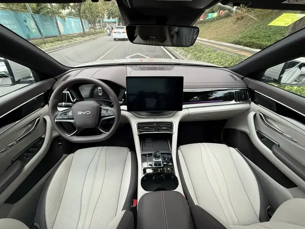 BYD PLUS New Energy 2025 из CN, фото 6