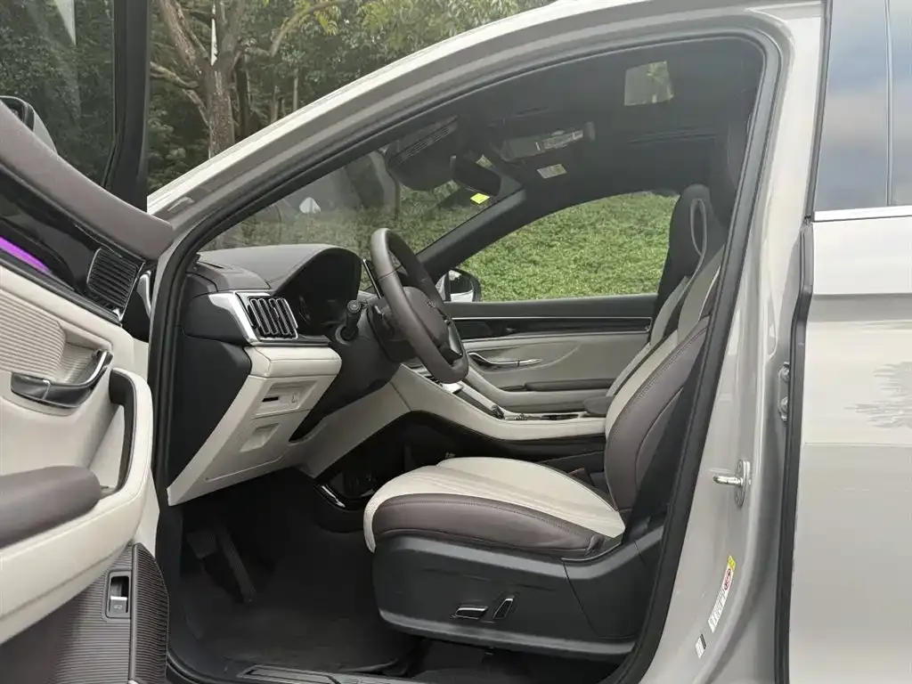 BYD PLUS New Energy 2025 из CN, фото 7