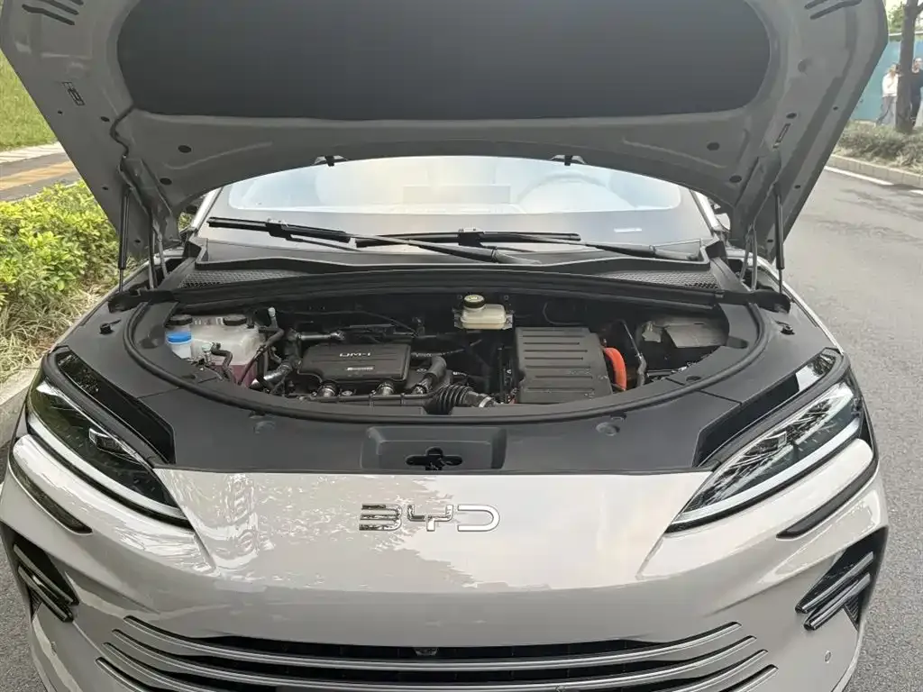 BYD PLUS New Energy 2025 из CN, фото 9