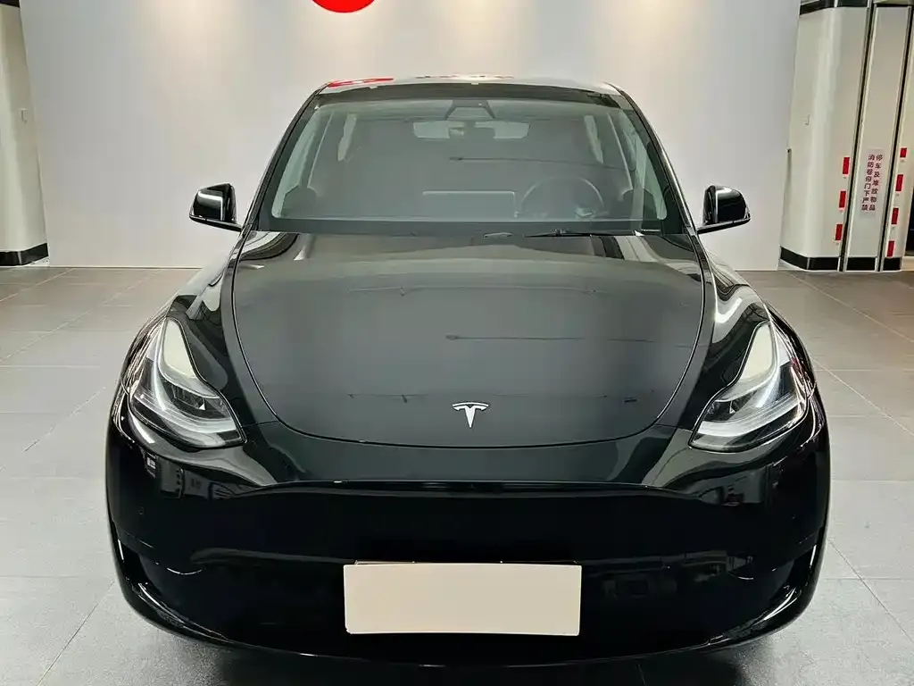 Tesla Model Y — фото 2