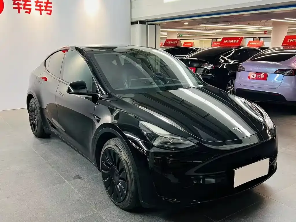 Tesla Model Y — фото 3