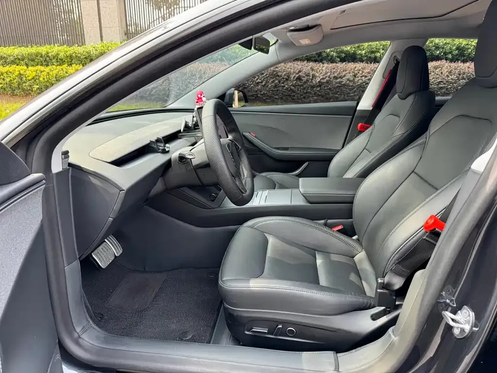 Tesla Model 3 2025 из CN, фото 4