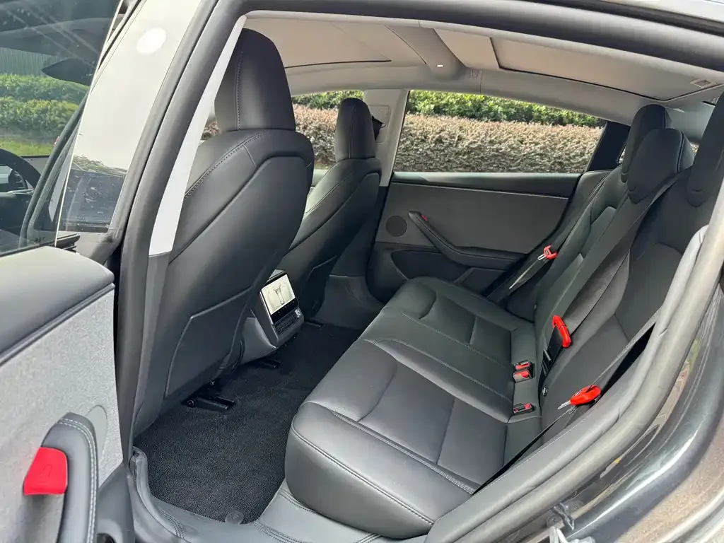 Tesla Model 3 2025 из CN, фото 6