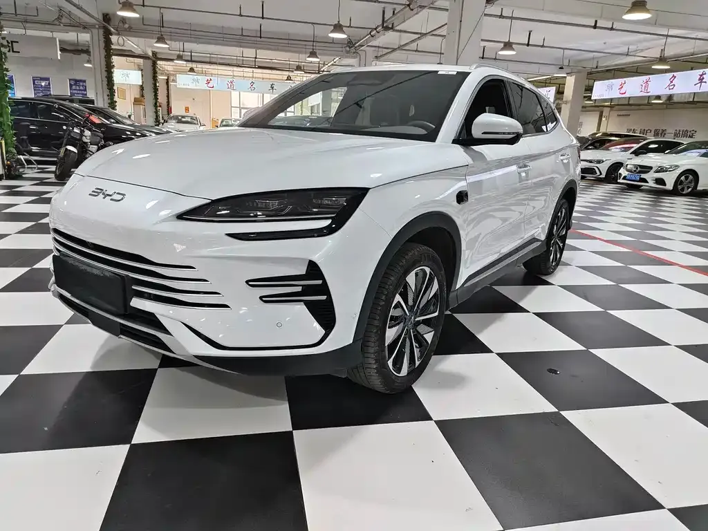 BYD PLUS New Energy — фото 1