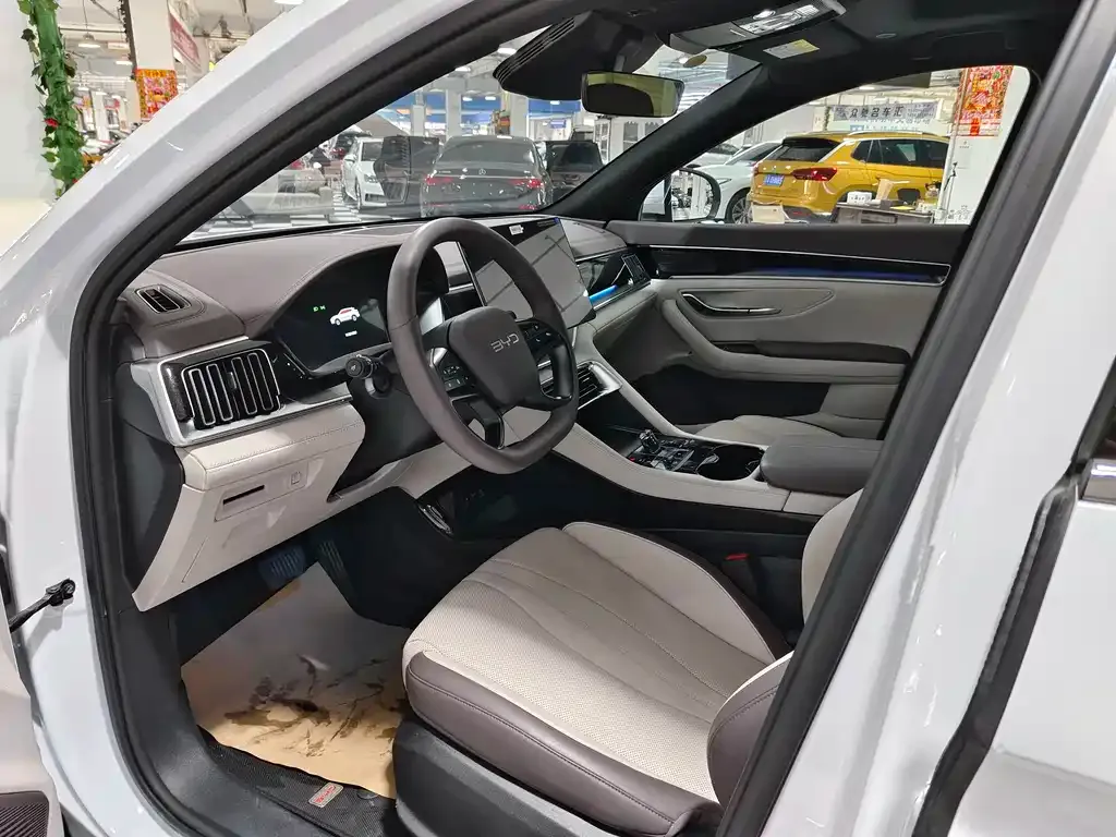 BYD PLUS New Energy — фото 8