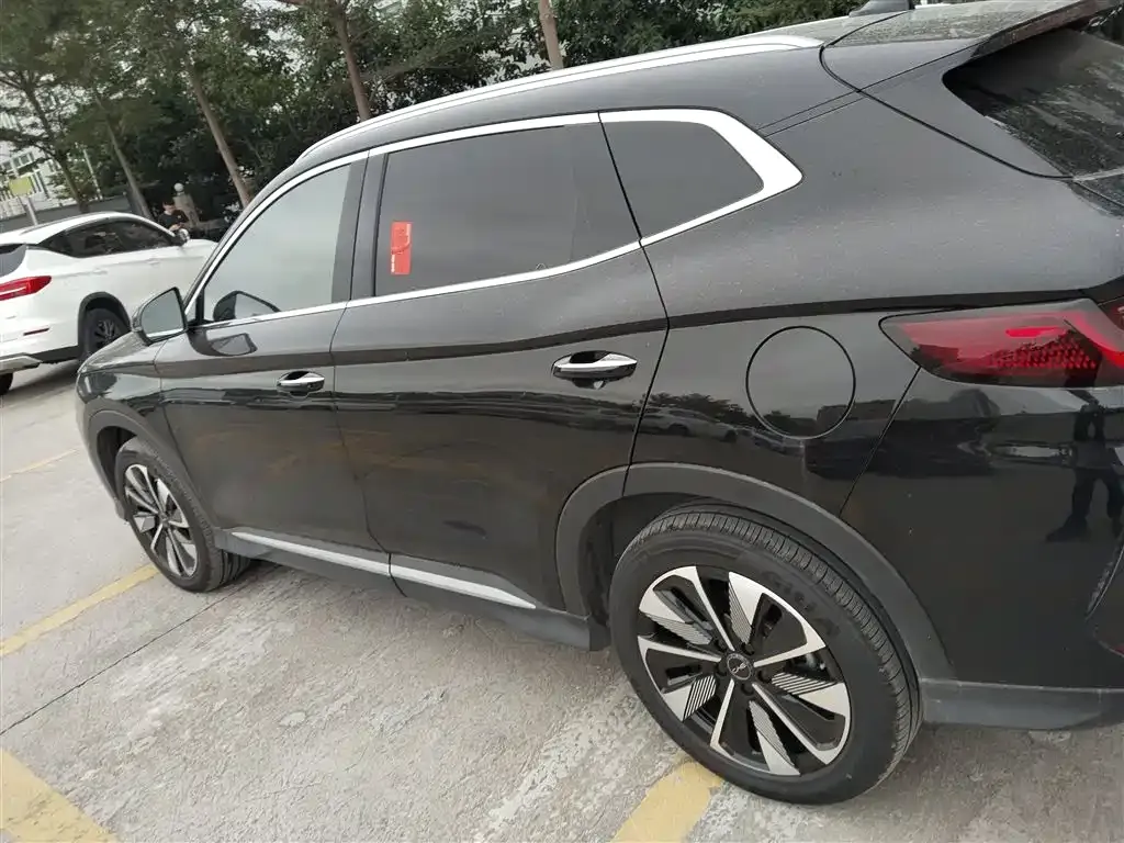 BYD PLUS New Energy — фото 5