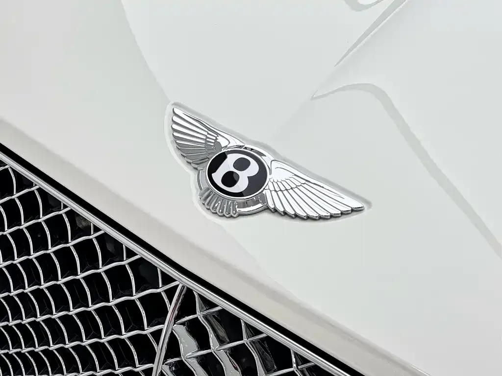 Bentley Continental 2024 из CN, фото 10
