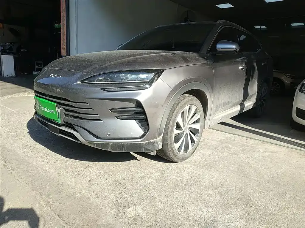 BYD PLUS New Energy 2024 из CN, фото 1