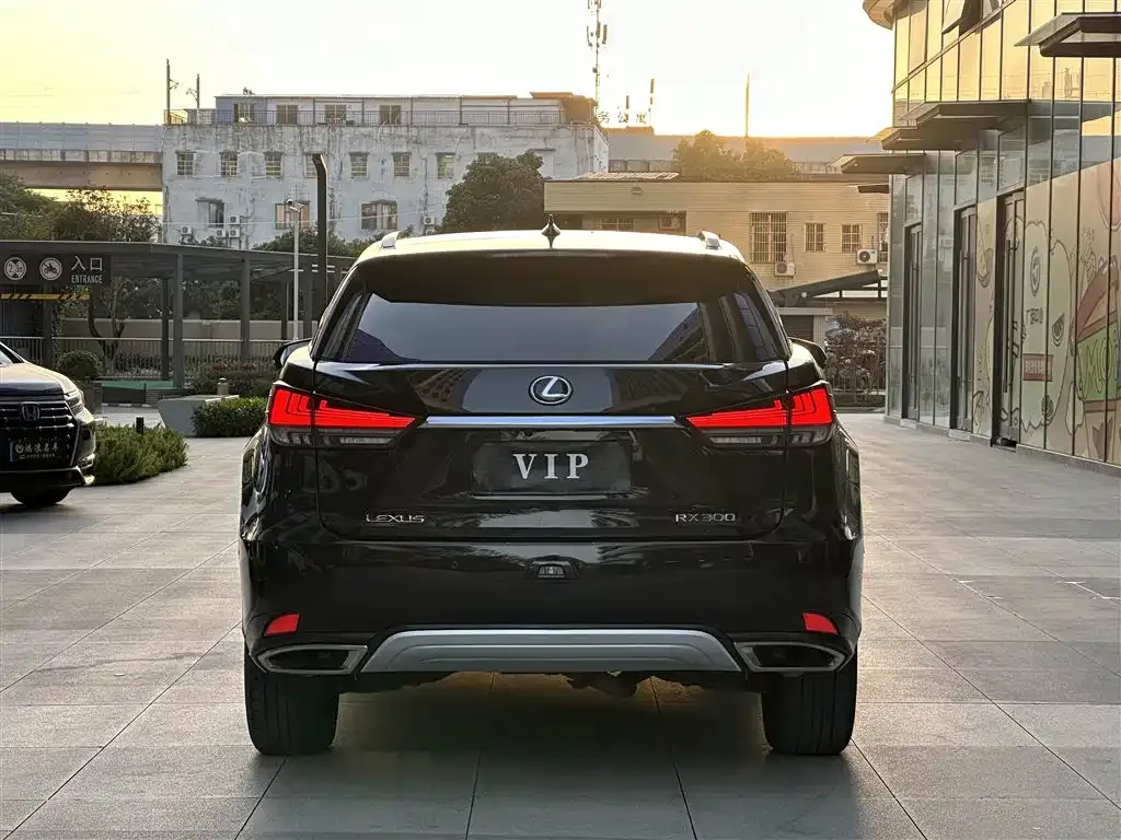Lexus RX — фото 5