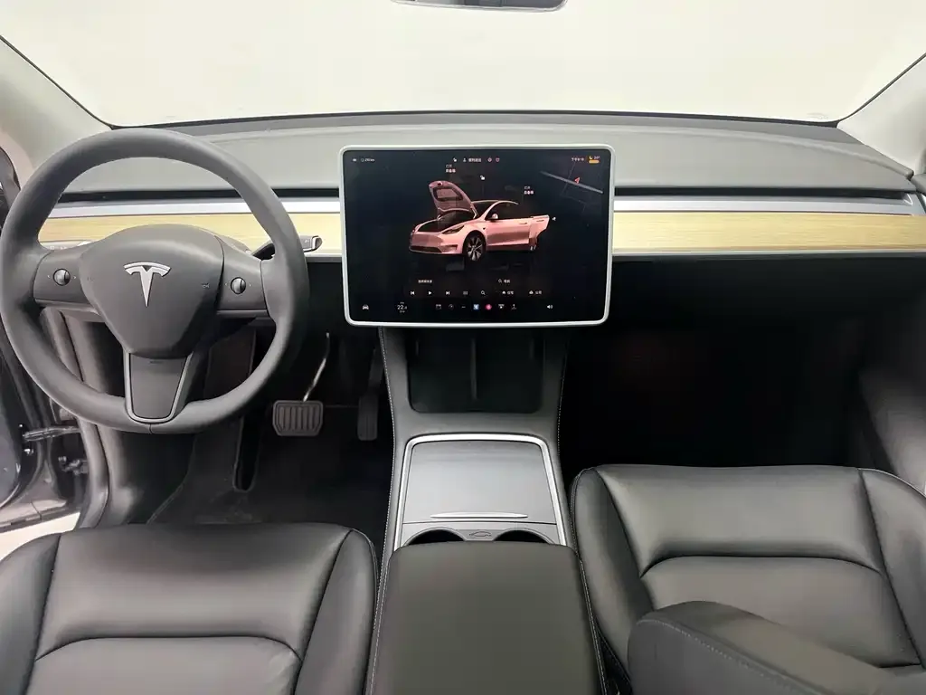 Tesla Model Y 2023 из CN, фото 9
