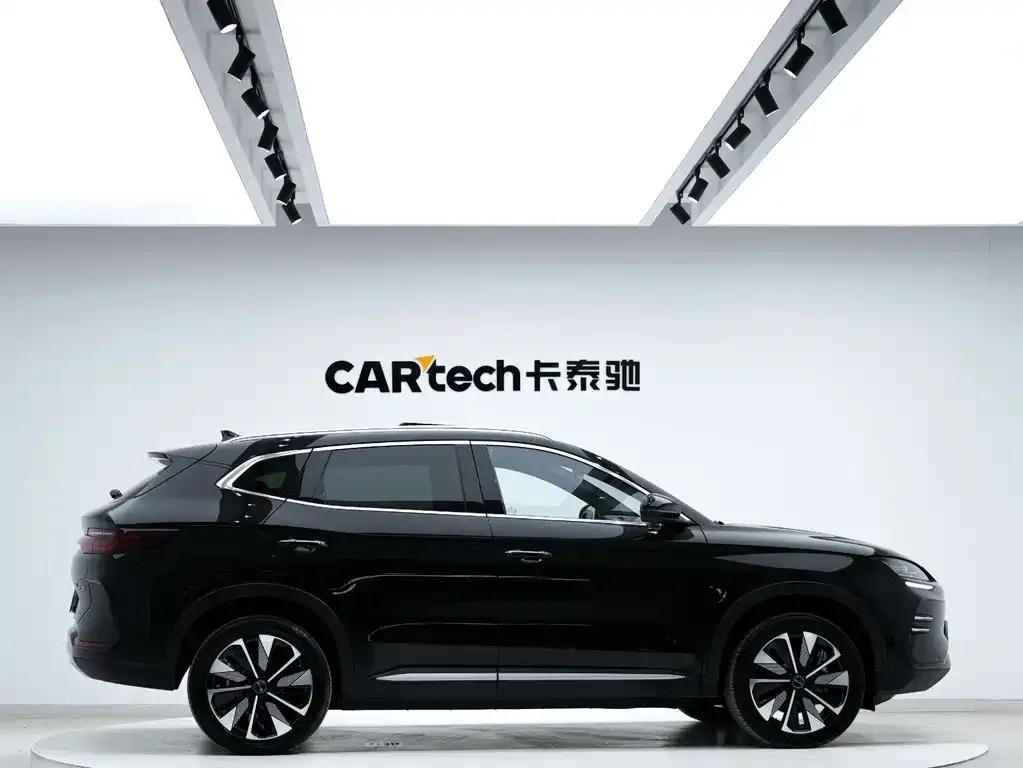 BYD PLUS New Energy 2024 из CN, фото 4