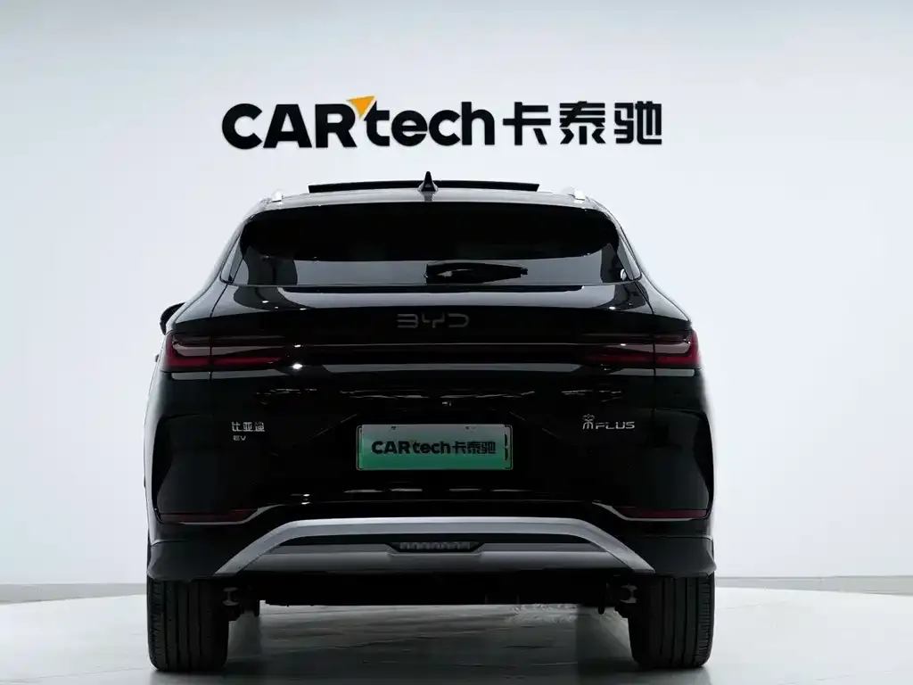 BYD PLUS New Energy 2024 из CN, фото 6