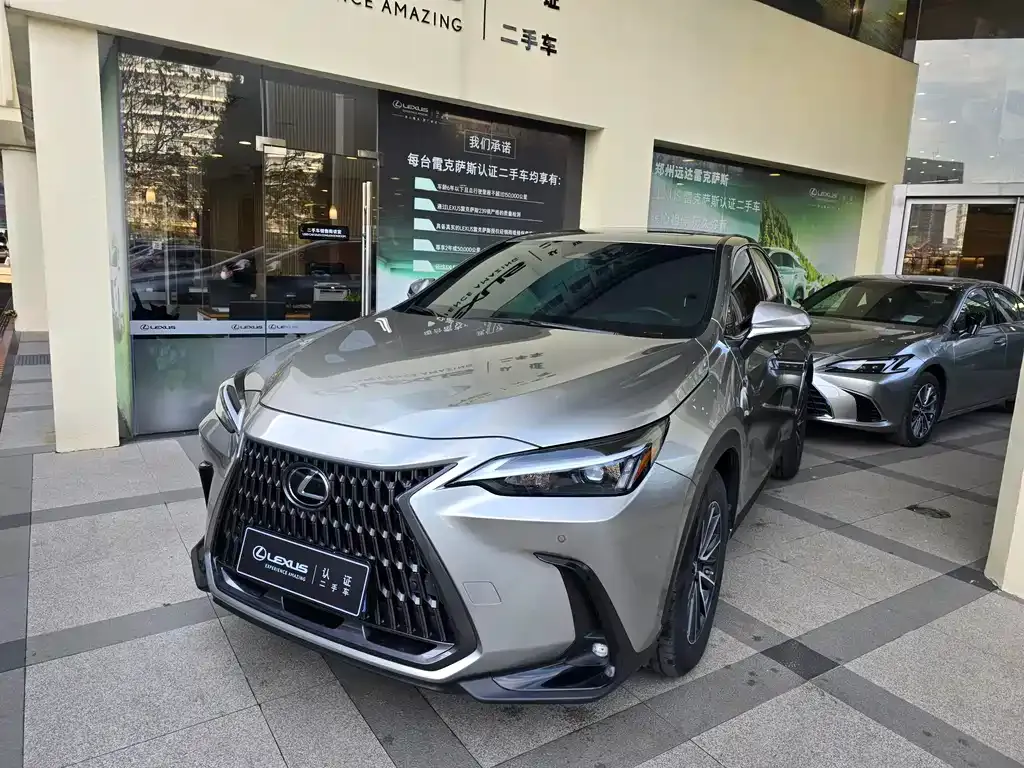 Lexus NX 2023 из CN, фото 1
