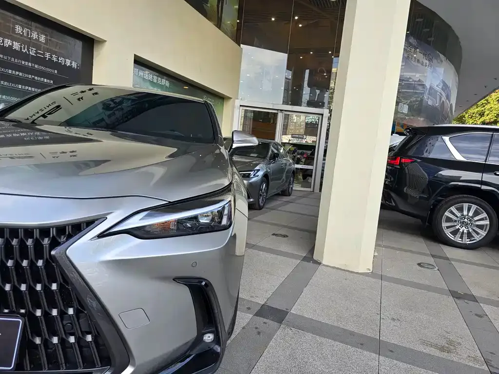 Lexus NX 2023 из CN, фото 3