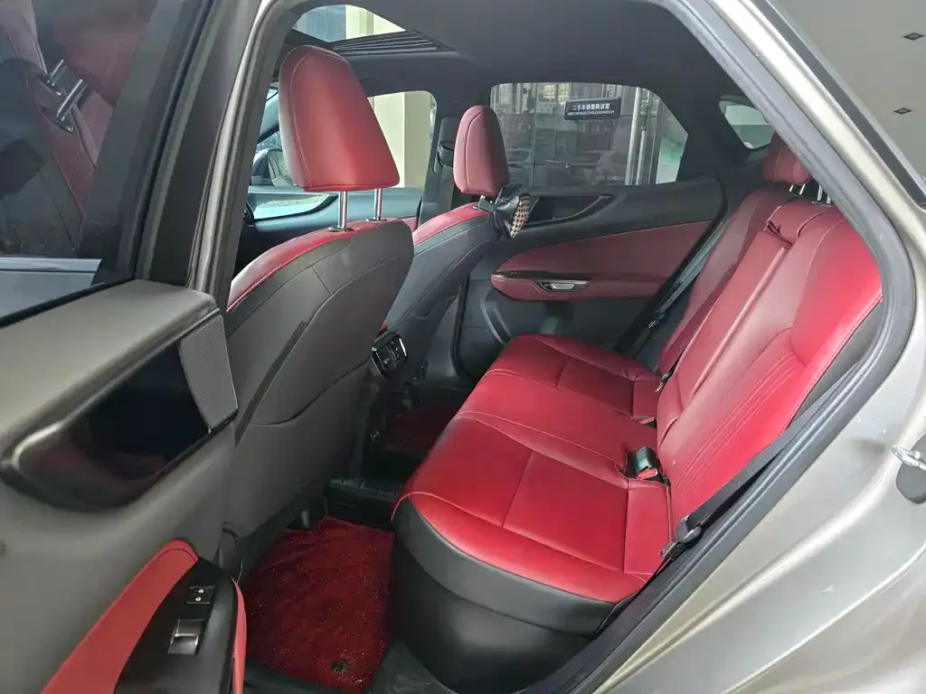 Lexus NX 2023 из CN, фото 6