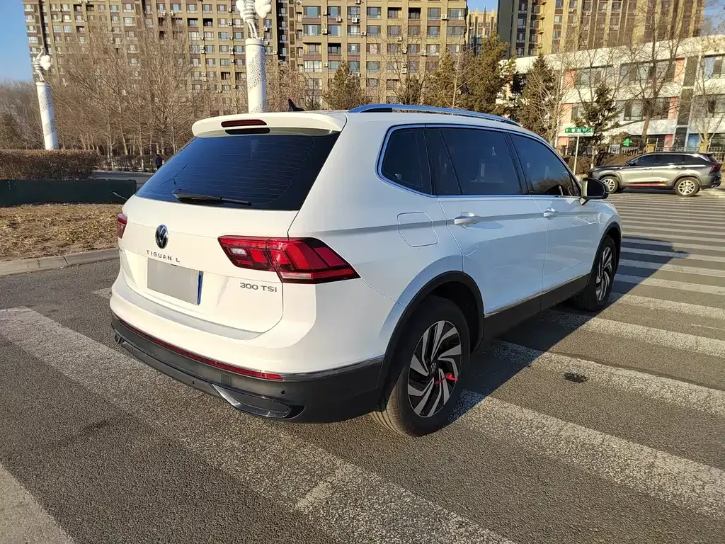 Volkswagen Tiguan L 2025 из CN, фото 4