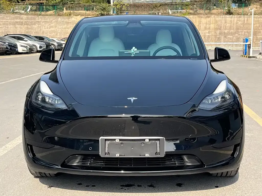 Tesla Model Y 2022 из CN, фото 3